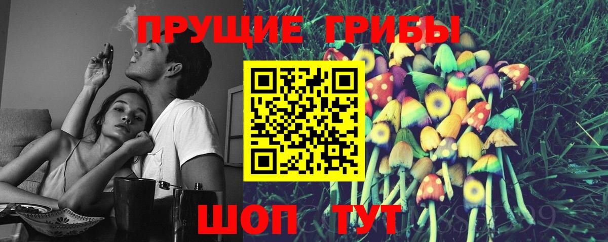 Псилоцибиновые грибы Cubensis  Псилоцибиновые грибы Psilocybe  Брянск  купить   Вход с VPN 