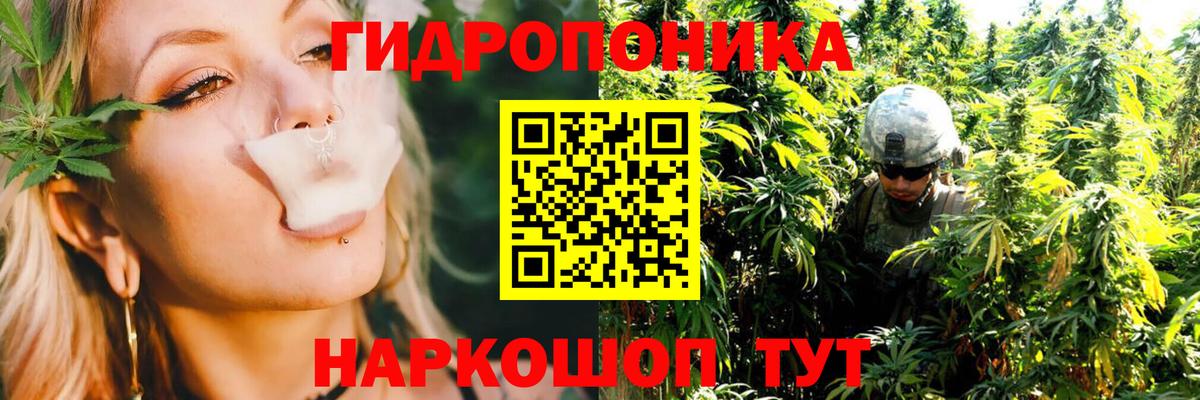 Шишки марихуана сатива Брянск